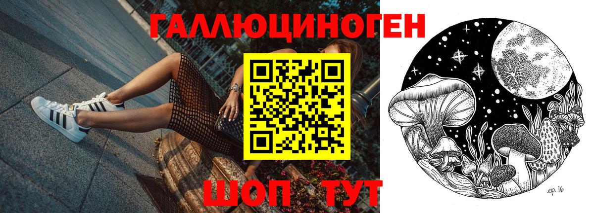 Галлюциногенные грибы мицелий Обнинск